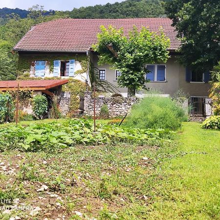 Du Vent Dans Les Arbres -120M2 Belle Vue Sur Le Lac Chindrieux Kültér fotó