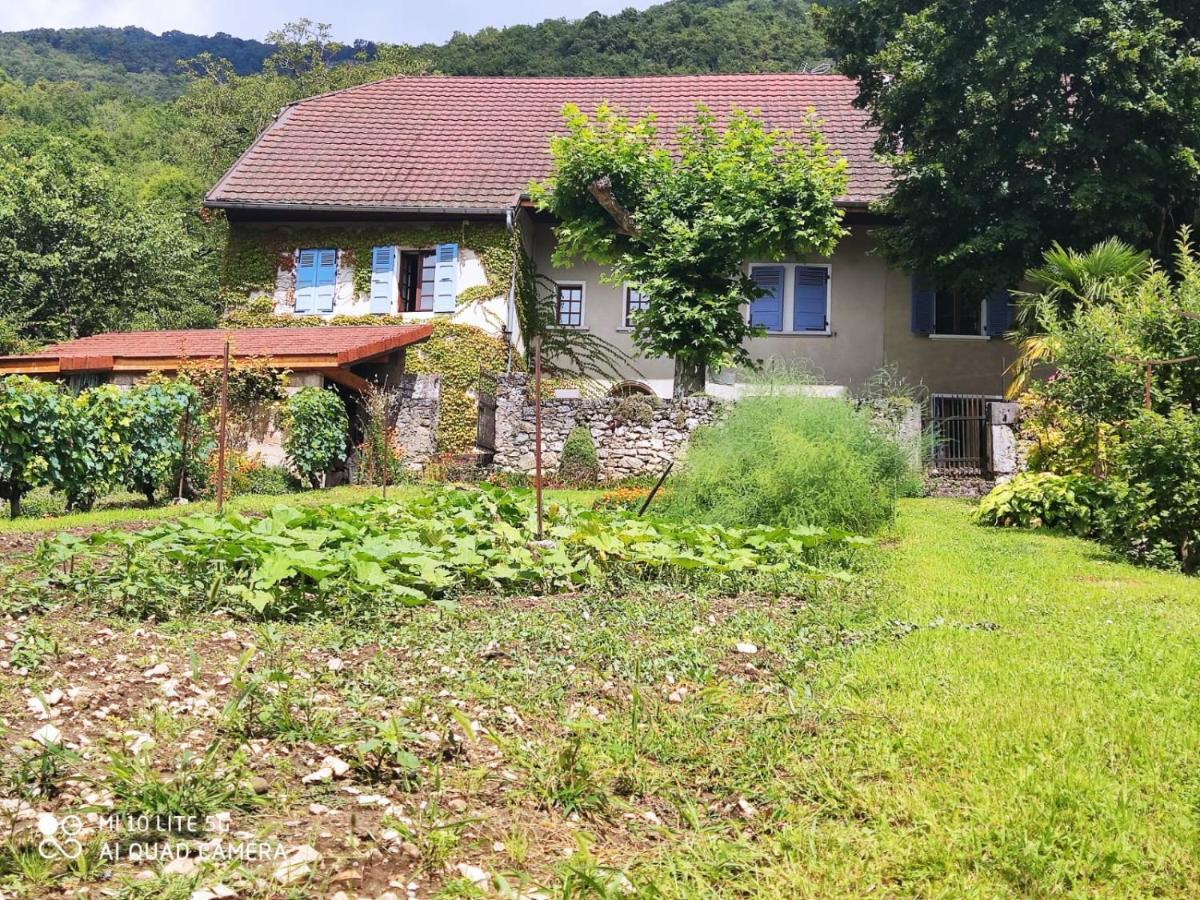 Du Vent Dans Les Arbres -120M2 Belle Vue Sur Le Lac Chindrieux Kültér fotó