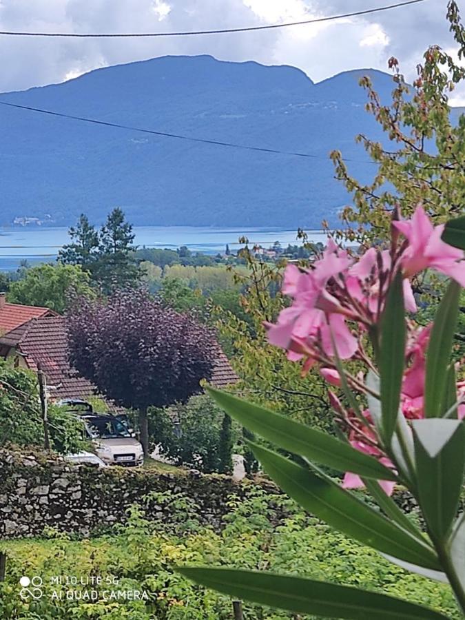 Du Vent Dans Les Arbres -120M2 Belle Vue Sur Le Lac Chindrieux Kültér fotó