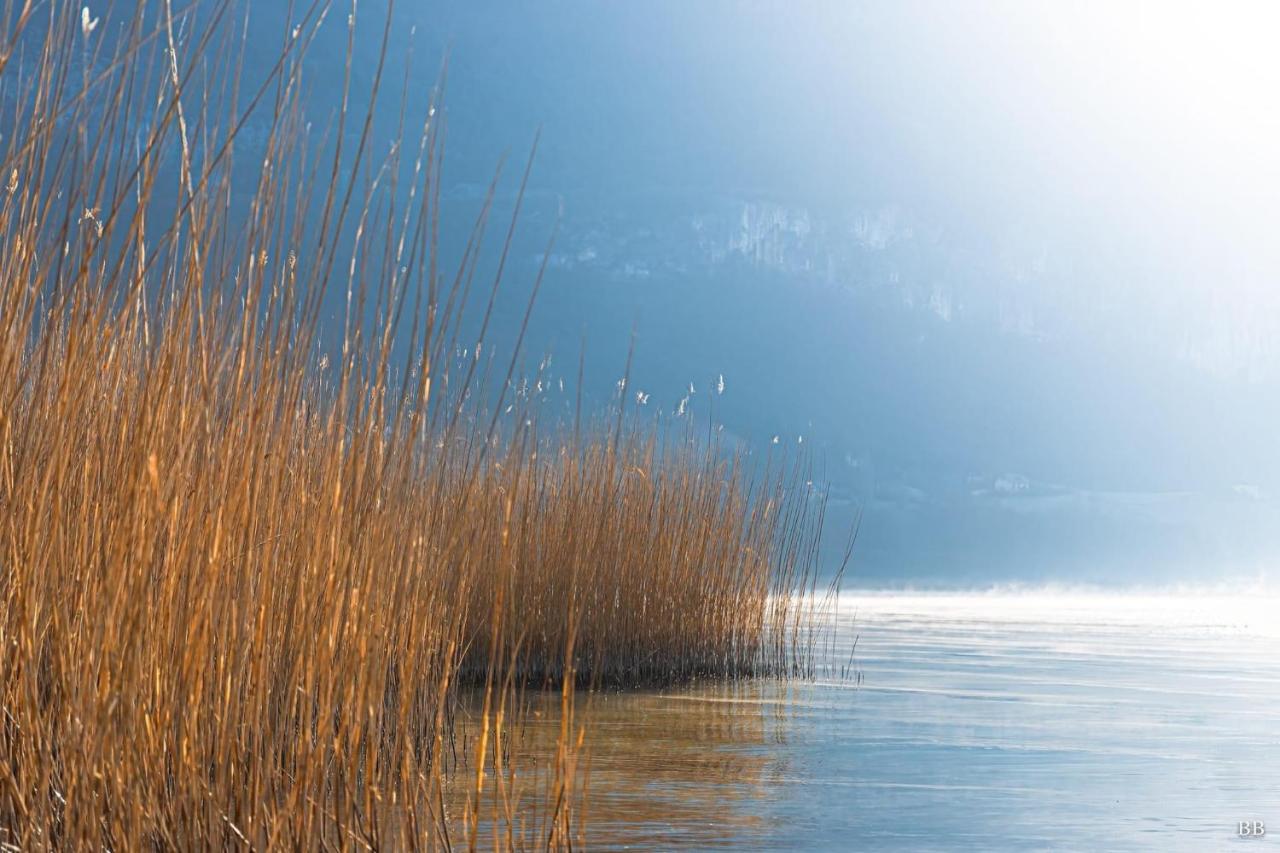 Du Vent Dans Les Arbres -120M2 Belle Vue Sur Le Lac Chindrieux Kültér fotó