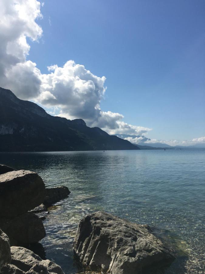 Du Vent Dans Les Arbres -120M2 Belle Vue Sur Le Lac Chindrieux Kültér fotó