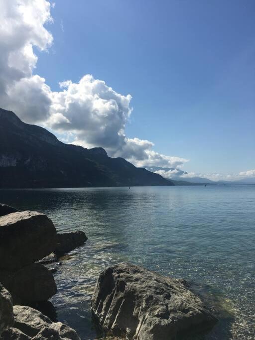 Du Vent Dans Les Arbres -120M2 Belle Vue Sur Le Lac Chindrieux Kültér fotó