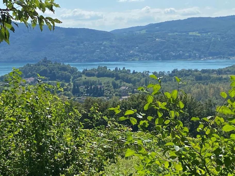 Du Vent Dans Les Arbres -120M2 Belle Vue Sur Le Lac Chindrieux Kültér fotó